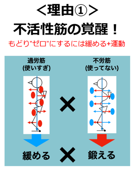 運動療法で治せる３つの理由①